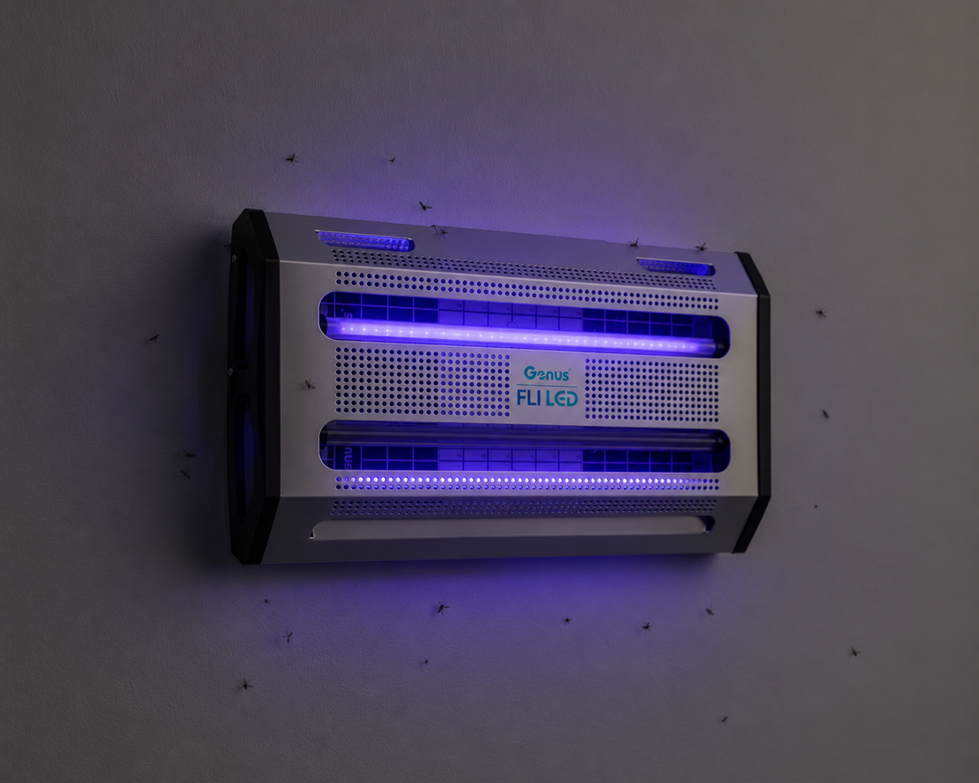 Dioda LED Fli (2×18)