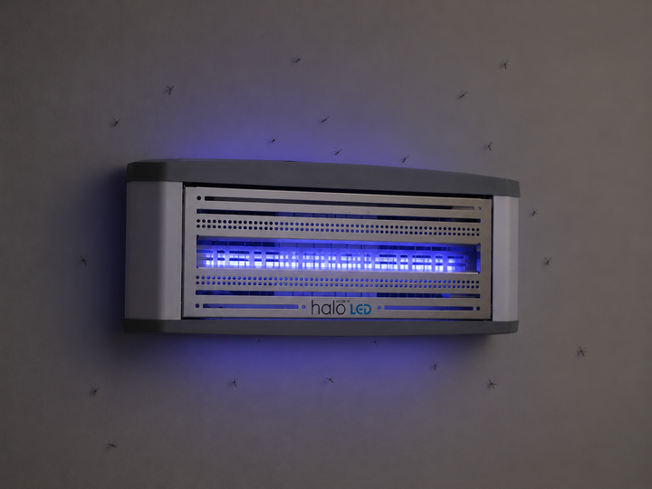 Halo LED 15 (kompaktowy)