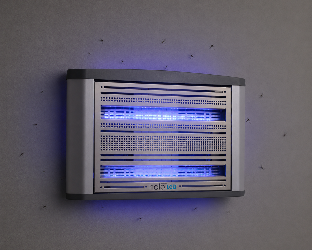 Halo LED 30 (duża)