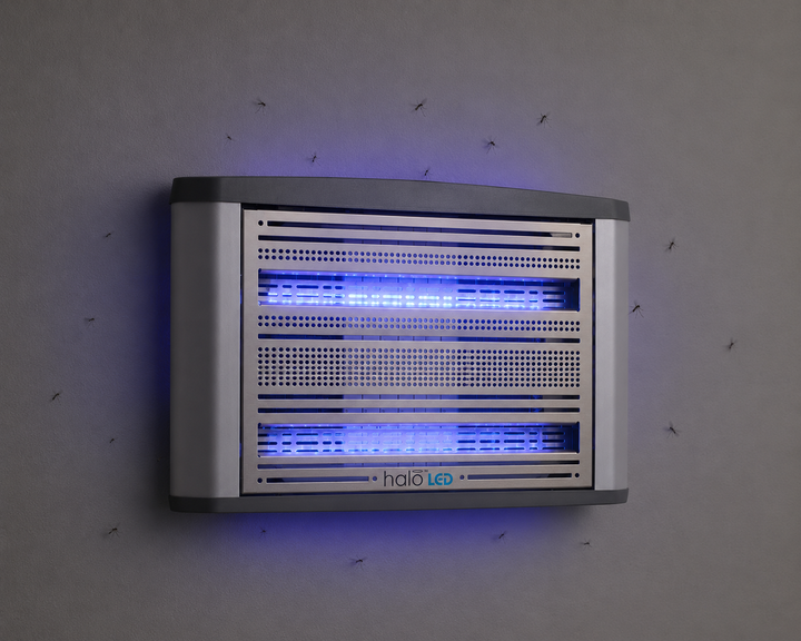 Halo LED 30 (duża)