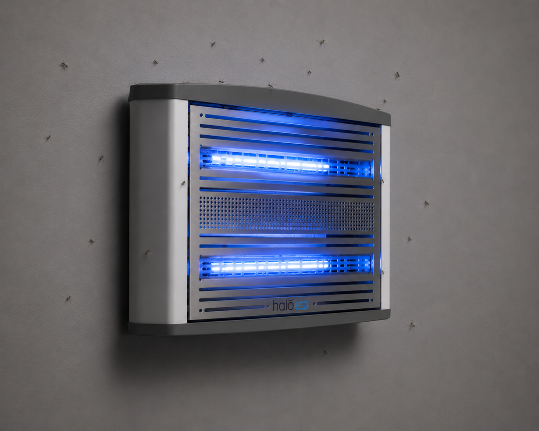 Halo LED Aqua