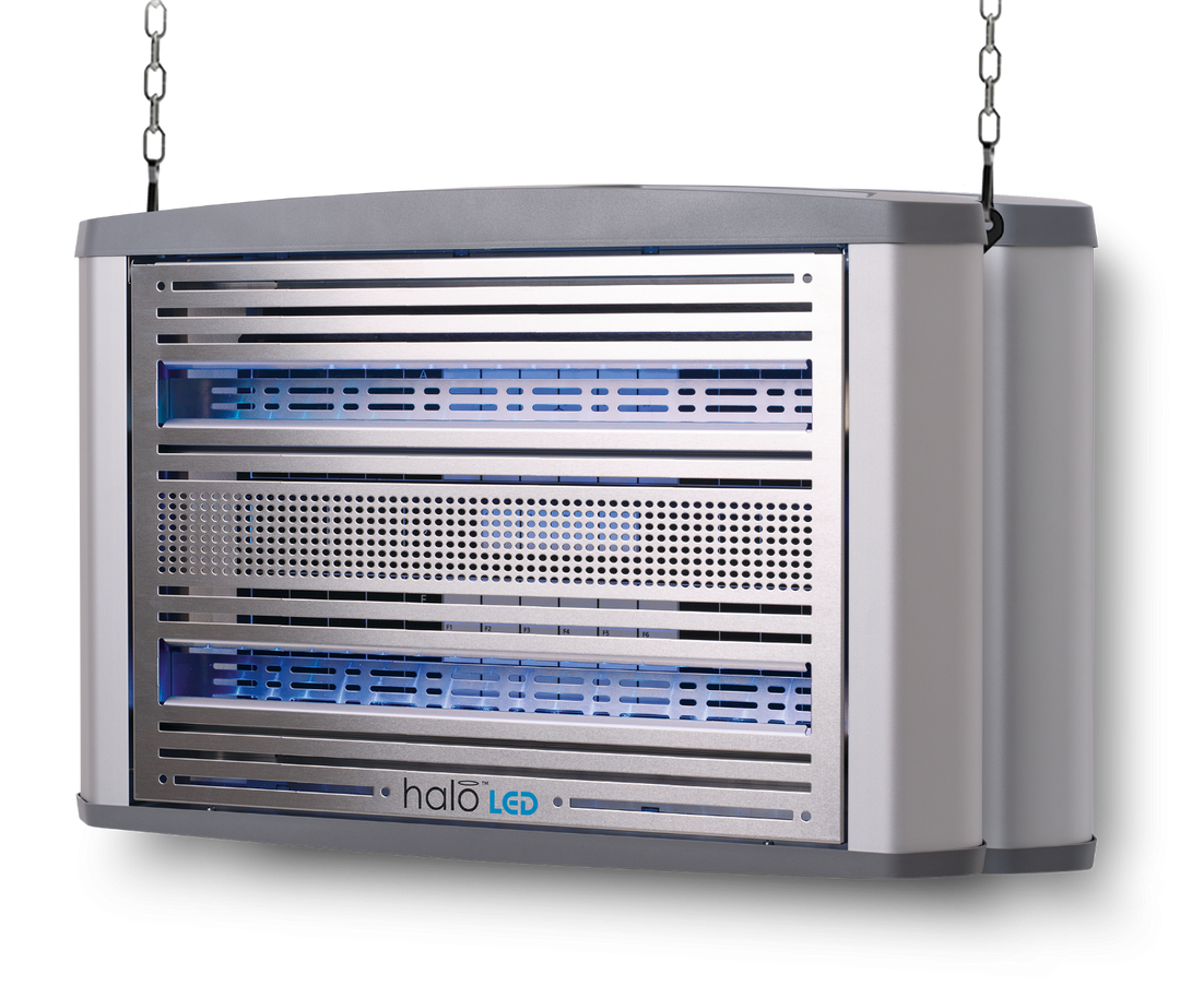 Halo LED 30 (duża)