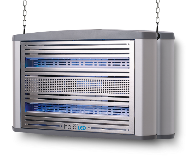 Halo LED 30 (duża)