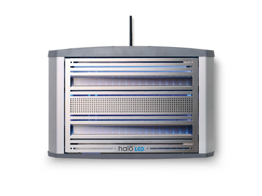 Cyfrowy Halo 30 LED