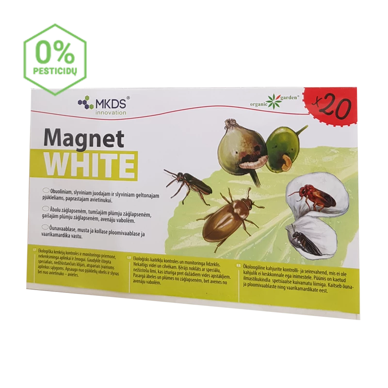 MINI Magnet biała pułapka lepowa do monitorowania szkodników - (20 x 12 cm), 20 szt.
